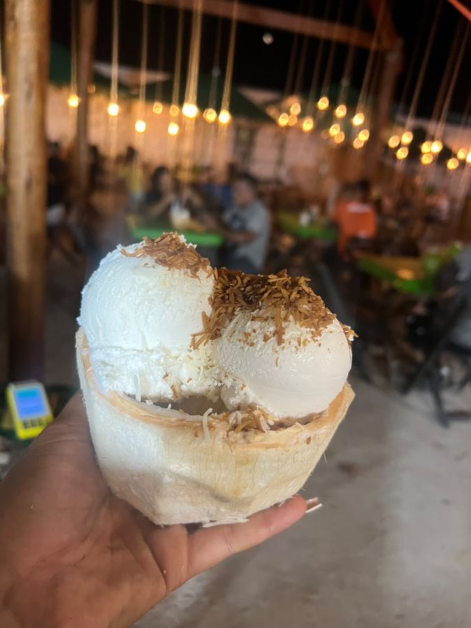 Sorvete no coco - 3 bolas